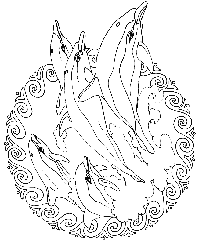 Print Mandala dolfijnen kleurplaat